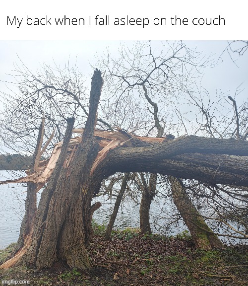 Getting old hurts. | image tagged in memes,funny,lol,true,relatable | made w/ Imgflip meme maker