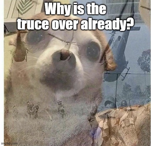 PTSD Chihuahua | Why is the truce over already? | image tagged in ptsd chihuahua | made w/ Imgflip meme maker