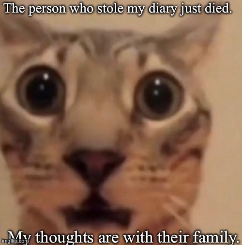 This might be a little cringe. But…. | The person who stole my diary just died. My thoughts are with their family. | image tagged in flabbergasted cat | made w/ Imgflip meme maker