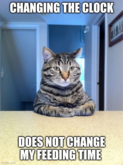 Take A Seat Cat Meme | CHANGING THE CLOCK DOES NOT CHANGE MY FEEDING TIME | image tagged in memes,take a seat cat | made w/ Imgflip meme maker