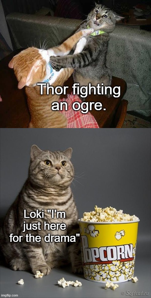 Cat watching other cats fight | Thor fighting an ogre. Loki "I'm just here for the drama" | image tagged in cat watching other cats fight | made w/ Imgflip meme maker