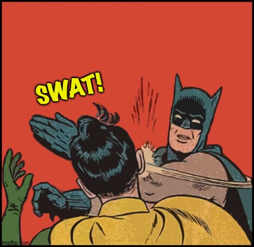 batman slapping robin no bubbles | SWAT! | image tagged in batman slapping robin no bubbles | made w/ Imgflip meme maker