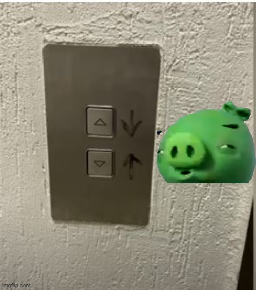 So, Which is Which? | image tagged in you had one job | made w/ Imgflip meme maker