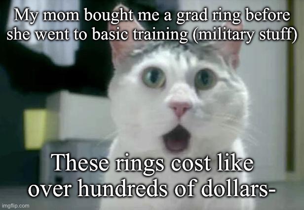 OMG Cat | My mom bought me a grad ring before she went to basic training (military stuff); These rings cost like over hundreds of dollars- | image tagged in memes,omg cat | made w/ Imgflip meme maker