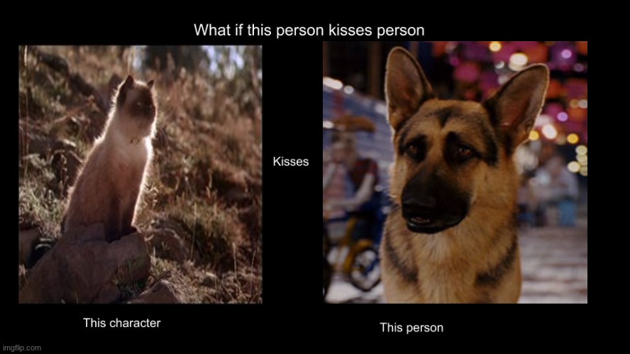 if sassy kissed delgado | image tagged in what if this person kisses character,disney,cats,dogs,shipping | made w/ Imgflip meme maker