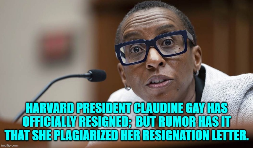 U can't respond to anyone.  Got a two day timer from the Politics Stream mod for telling the truth. | HARVARD PRESIDENT CLAUDINE GAY HAS OFFICIALLY RESIGNED;  BUT RUMOR HAS IT THAT SHE PLAGIARIZED HER RESIGNATION LETTER. | image tagged in yep | made w/ Imgflip meme maker