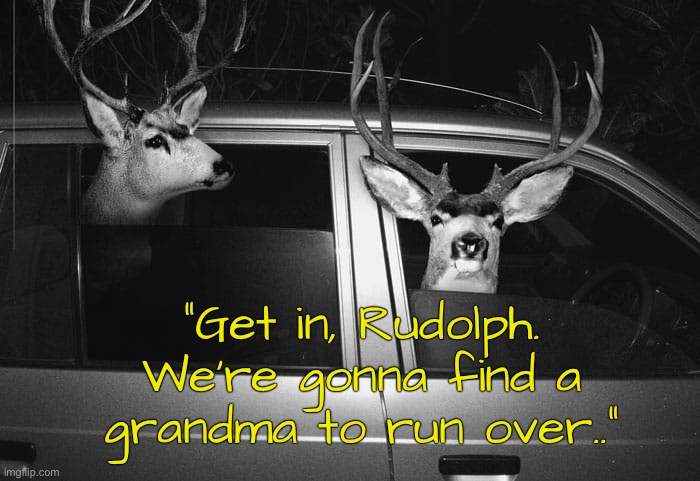"Get in, Rudolph. We’re gonna find a grandma to run over.." | image tagged in christmas | made w/ Imgflip meme maker