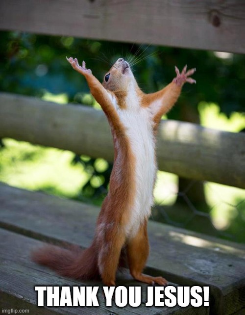 Thank you Jesus squirrel | THANK YOU JESUS! | image tagged in thank you jesus squirrel | made w/ Imgflip meme maker