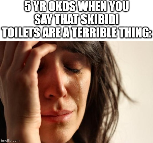 S | 5 YR OKDS WHEN YOU SAY THAT SKIBIDI TOILETS ARE A TERRIBLE THING: | image tagged in memes,first world problems,we,hate,skibidi toilet | made w/ Imgflip meme maker