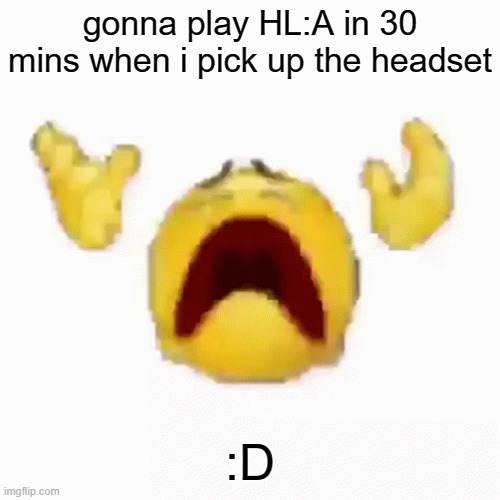 :nooo: | gonna play HL:A in 30 mins when i pick up the headset; :D | image tagged in nooo | made w/ Imgflip meme maker