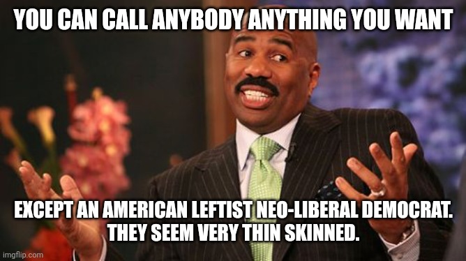 Steve Harvey Meme | YOU CAN CALL ANYBODY ANYTHING YOU WANT EXCEPT AN AMERICAN LEFTIST NEO-LIBERAL DEMOCRAT.

THEY SEEM VERY THIN SKINNED. | image tagged in memes,steve harvey | made w/ Imgflip meme maker