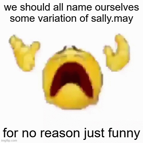 :nooo: | we should all name ourselves some variation of sally.may; for no reason just funny | image tagged in nooo | made w/ Imgflip meme maker