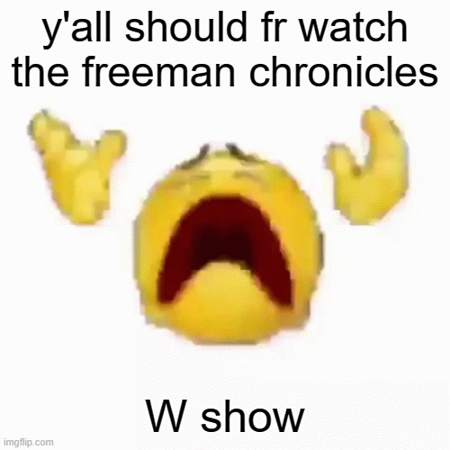:nooo: | y'all should fr watch the freeman chronicles; W show | image tagged in nooo | made w/ Imgflip meme maker