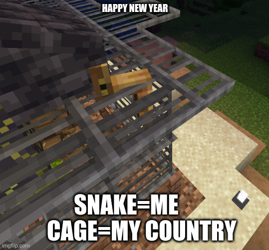 please don't upvote me | HAPPY NEW YEAR; SNAKE=ME        CAGE=MY COUNTRY | image tagged in minecraft,snake,stuck in a nicholas cage | made w/ Imgflip meme maker