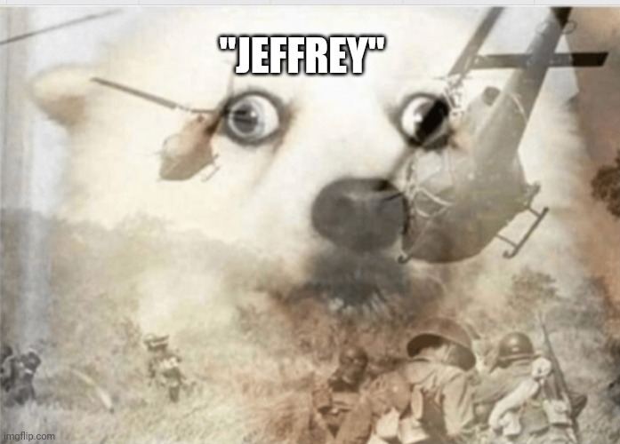 PTSD dog | "JEFFREY" | image tagged in ptsd dog | made w/ Imgflip meme maker