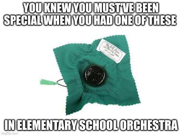 True | YOU KNEW YOU MUST'VE BEEN SPECIAL WHEN YOU HAD ONE OF THESE; IN ELEMENTARY SCHOOL ORCHESTRA | image tagged in music | made w/ Imgflip meme maker