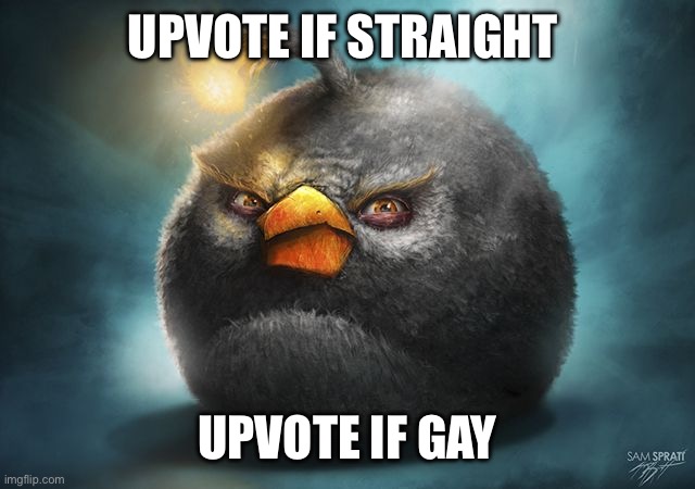 angry birds bomb | UPVOTE IF STRAIGHT; UPVOTE IF GAY | image tagged in angry birds bomb | made w/ Imgflip meme maker