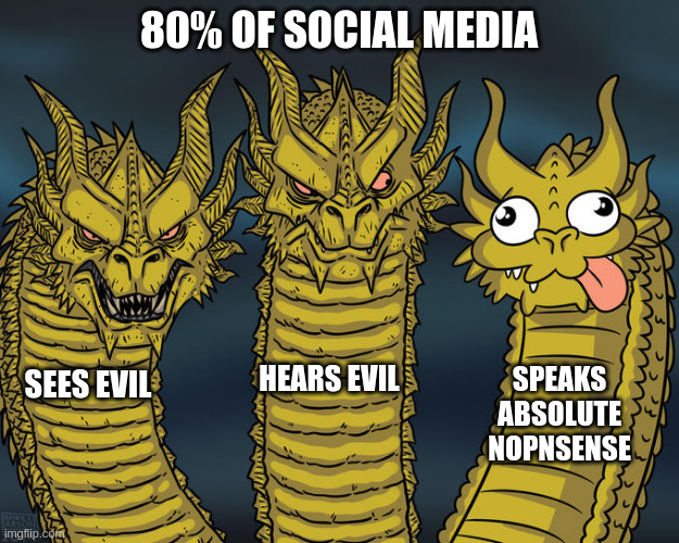 Three-headed Dragon | 80% OF SOCIAL MEDIA; HEARS EVIL; SPEAKS ABSOLUTE NOPNSENSE; SEES EVIL | image tagged in three-headed dragon | made w/ Imgflip meme maker