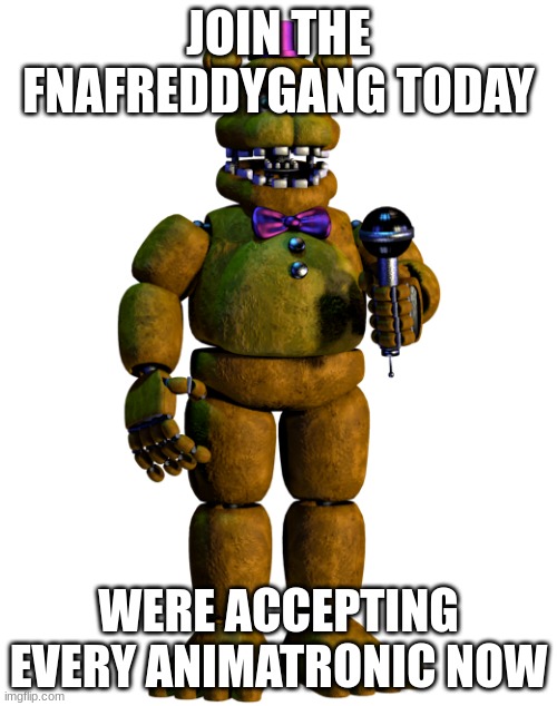 Join the fnafreddygang  Were accepting more than just Freddy's now join today | JOIN THE FNAFREDDYGANG TODAY; WERE ACCEPTING EVERY ANIMATRONIC NOW | image tagged in link in comments,lol,fnafreddygang,fnaf,fnaff,fun | made w/ Imgflip meme maker
