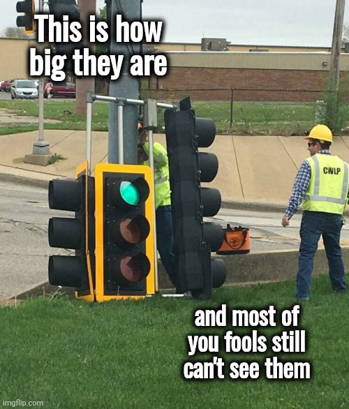 To BMW Drivers | This is how big they are; and most of you fools still can't see them | image tagged in traffic light,huge,illuminated,what seems to be the problem,bad drivers | made w/ Imgflip meme maker