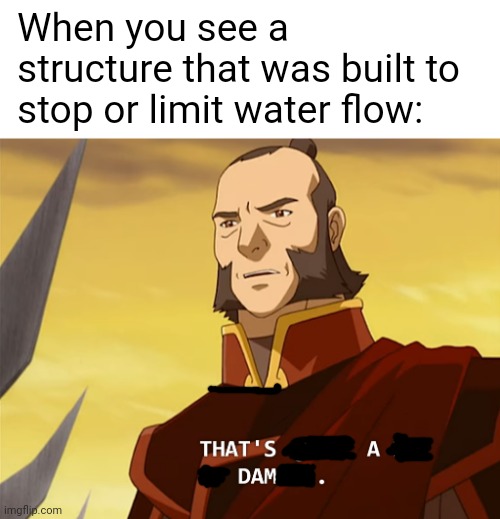 It truly do be | When you see a structure that was built to stop or limit water flow: | image tagged in that's quite a bit of damage,avatar the last airbender,atla,avatar | made w/ Imgflip meme maker