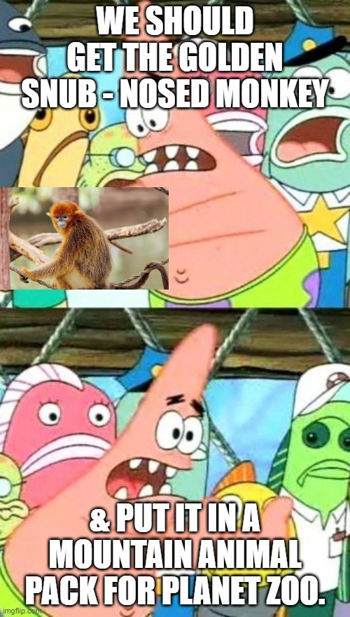 Patrick & Planet Zoo | WE SHOULD GET THE GOLDEN SNUB - NOSED MONKEY; & PUT IT IN A MOUNTAIN ANIMAL PACK FOR PLANET ZOO. | image tagged in put it somewhere else patrick | made w/ Imgflip meme maker