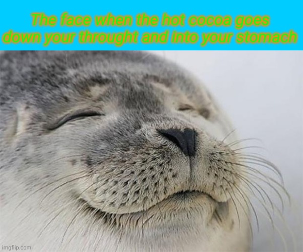 ITS SOOOOOOO GOOD | The face when the hot cocoa goes down your throught and into your stomach | image tagged in memes,satisfied seal | made w/ Imgflip meme maker