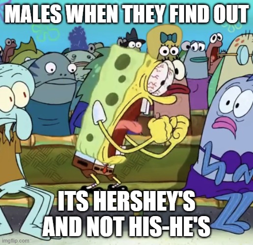 Double Whammy! | MALES WHEN THEY FIND OUT; ITS HERSHEY'S AND NOT HIS-HE'S | image tagged in stop reading the tags,why are you reading the tags,ha ha tags go brr,too many tags,i never know what to put for tags | made w/ Imgflip meme maker