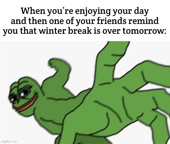 STOP, YOU HAVE VIOLATED THE LAW | When you’re enjoying your day and then one of your friends remind you that winter break is over tomorrow: | image tagged in pepe punch,meme,funny | made w/ Imgflip meme maker