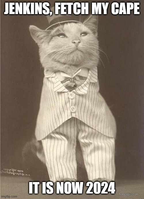 Fancy Cat | JENKINS, FETCH MY CAPE IT IS NOW 2024 | image tagged in fancy cat | made w/ Imgflip meme maker