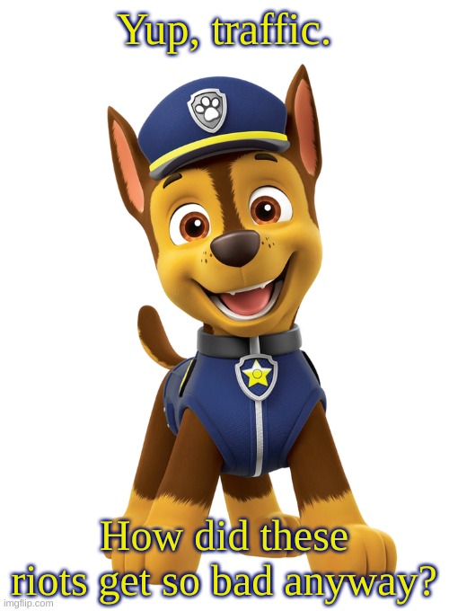 PAW Patrol Chase | Yup, traffic. How did these riots get so bad anyway? | image tagged in paw patrol chase | made w/ Imgflip meme maker