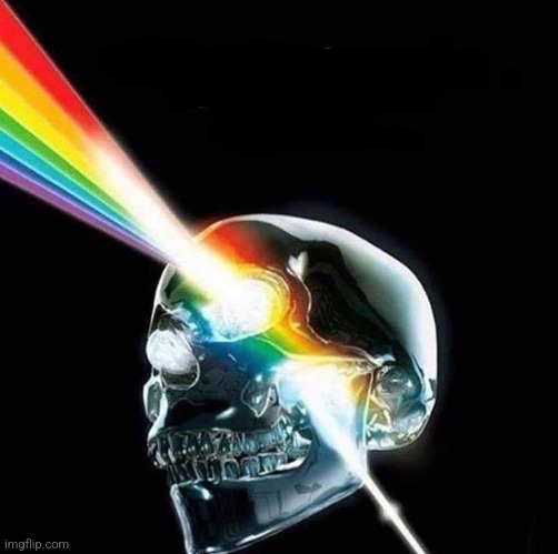 Dark Side of the Skull | image tagged in glass,skull,prism,awesome,pic | made w/ Imgflip meme maker