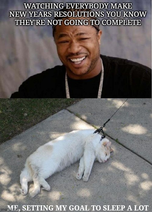 WATCHING EVERYBODY MAKE NEW YEARS RESOLUTIONS YOU KNOW THEY'RE NOT GOING TO COMPLETE; ME, SETTING MY GOAL TO SLEEP A LOT | image tagged in memes,yo dawg heard you,lazy cat | made w/ Imgflip meme maker