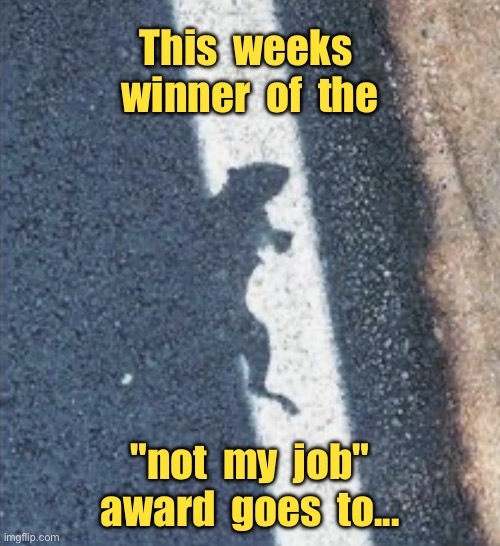 This weeks winner | This  weeks  winner  of  the; "not  my  job" award  goes  to... | image tagged in award,the weeks winner,not my job,fun | made w/ Imgflip meme maker