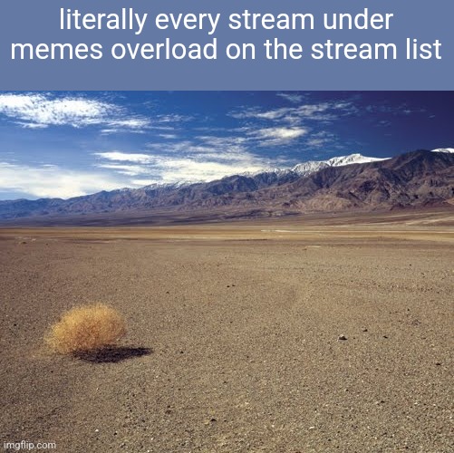 desert tumbleweed | literally every stream under memes overload on the stream list | image tagged in desert tumbleweed | made w/ Imgflip meme maker