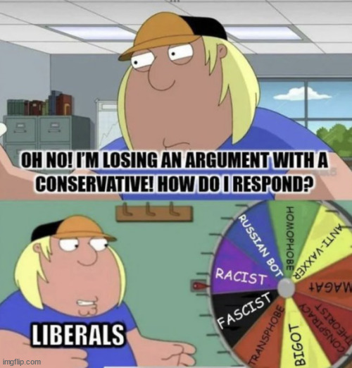 How libs decide what to respond with... | image tagged in they have no thinking skills,standard reply applies | made w/ Imgflip meme maker