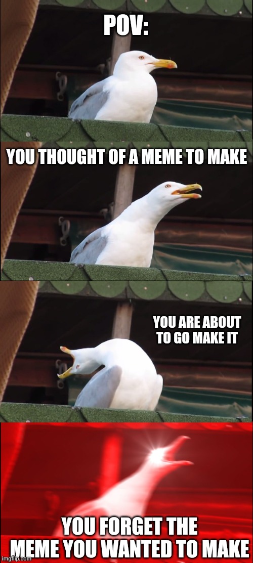 WHYY | POV:; YOU THOUGHT OF A MEME TO MAKE; YOU ARE ABOUT TO GO MAKE IT; YOU FORGET THE MEME YOU WANTED TO MAKE | image tagged in memes,inhaling seagull | made w/ Imgflip meme maker