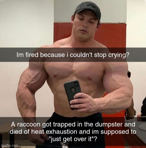 upvote in honor of the racoon | made w/ Imgflip meme maker