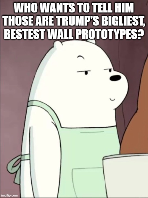 We Bare Bears Ice Bear Smug | WHO WANTS TO TELL HIM THOSE ARE TRUMP'S BIGLIEST, BESTEST WALL PROTOTYPES? | image tagged in we bare bears ice bear smug | made w/ Imgflip meme maker