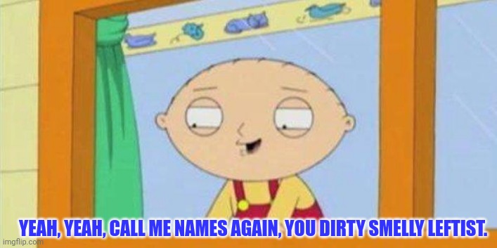 stewie laughing | YEAH, YEAH, CALL ME NAMES AGAIN, YOU DIRTY SMELLY LEFTIST. | image tagged in stewie laughing | made w/ Imgflip meme maker