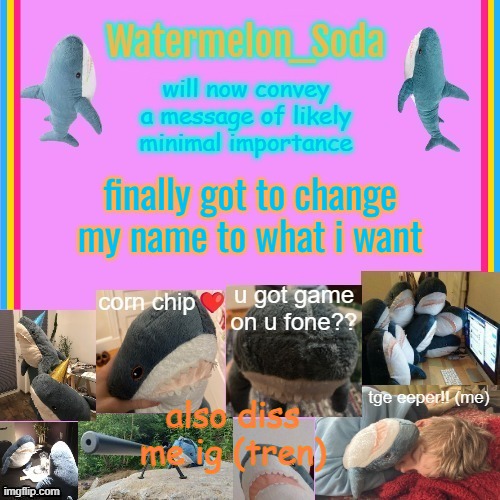 also diss me ig | finally got to change my name to what i want; also diss me ig (tren) | image tagged in soda's gayass blahaj temp | made w/ Imgflip meme maker