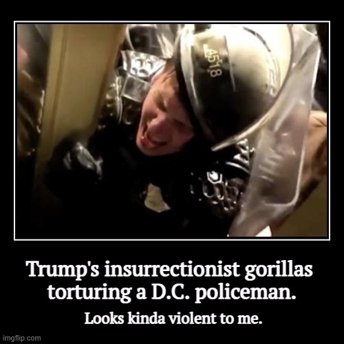 This is the way the vast majority of Americans feel about it. Most Patriots don't buy Trump's self-serving B.S. | Trump's insurrectionist gorillas 
torturing a D.C. policeman. | Looks kinda violent to me. | image tagged in funny,demotivationals,trump,insurrection,coup attempt,torture | made w/ Imgflip demotivational maker