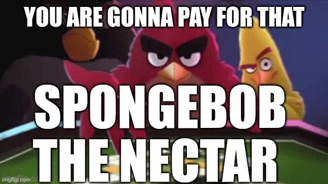 angry birds dice roLL | YOU ARE GONNA PAY FOR THAT SPONGEBOB THE NECTAR | image tagged in angry birds dice roll | made w/ Imgflip meme maker