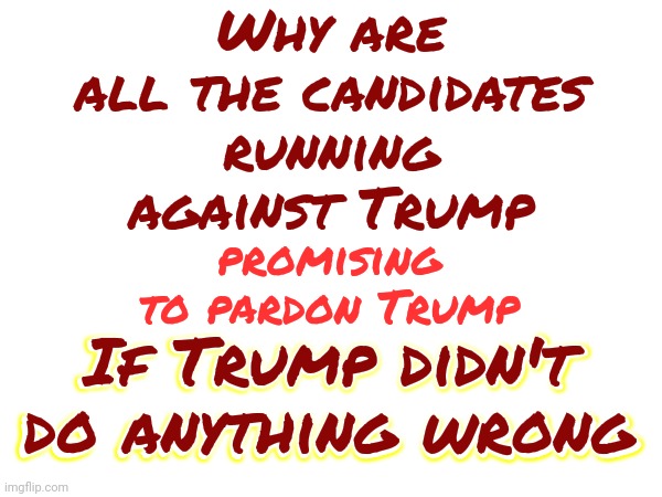 What Selling Out Really Looks Like | Why are all the candidates running against Trump; promising to pardon Trump; If Trump didn't do anything wrong; If Trump didn't do anything wrong | image tagged in scumbag maga,scumbag trump,conservative hypocrisy,memes,lock him up,scumbag republicans | made w/ Imgflip meme maker