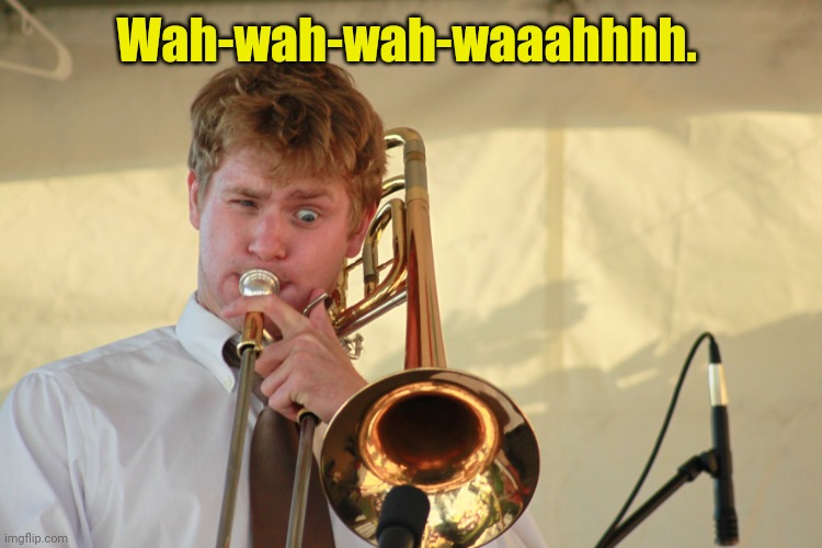trombone1 | Wah-wah-wah-waaahhhh. | image tagged in trombone1 | made w/ Imgflip meme maker