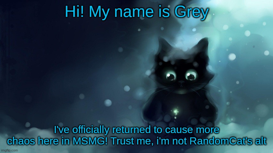 Hi! My name is Grey; I've officially returned to cause more chaos here in MSMG! Trust me, i'm not RandomCat's alt | made w/ Imgflip meme maker