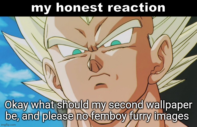 Vegeta my honest reaction | Okay what should my second wallpaper be, and please no femboy furry images | image tagged in vegeta my honest reaction | made w/ Imgflip meme maker