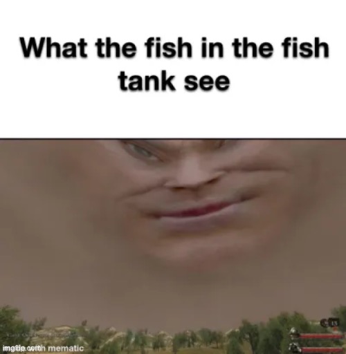 What fish see | image tagged in funny memes | made w/ Imgflip meme maker