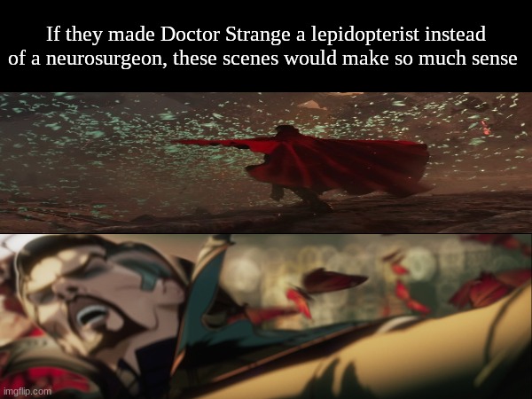 Doctor Strange butterflies | If they made Doctor Strange a lepidopterist instead of a neurosurgeon, these scenes would make so much sense | image tagged in memes,funny,marvel,doctor strange,animals | made w/ Imgflip meme maker