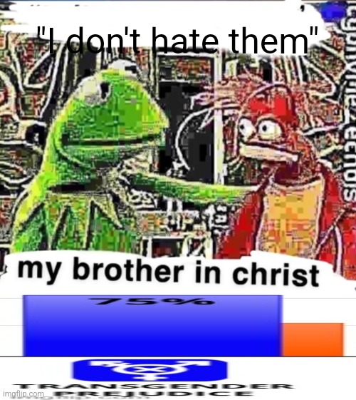 My brother in Christ | "I don't hate them" | image tagged in my brother in christ | made w/ Imgflip meme maker